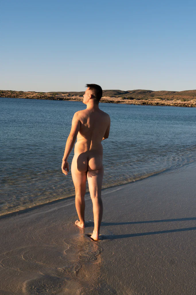 Michael Kingsley's avatar