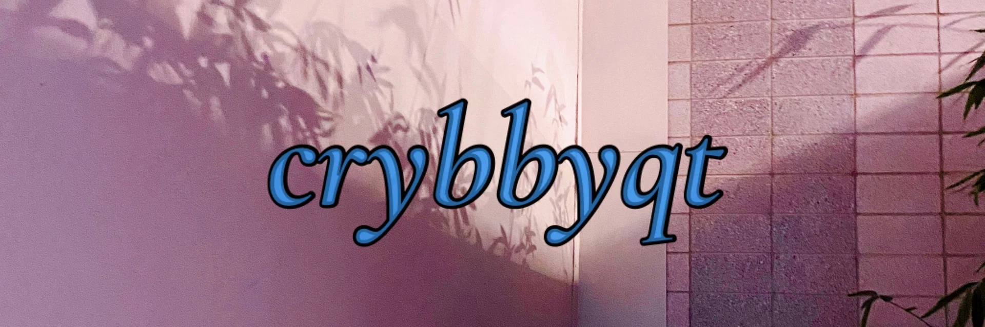crybby profile banner