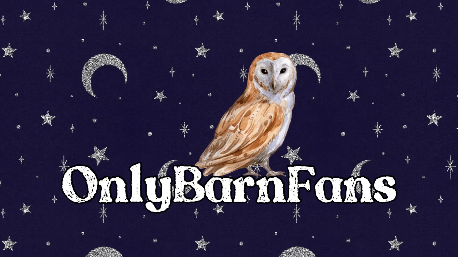 OnlyBarnFans profile banner