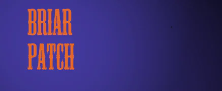 Briar profile banner
