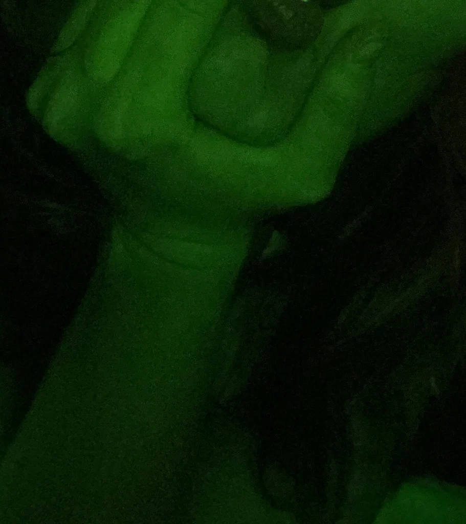 Green Witch's avatar