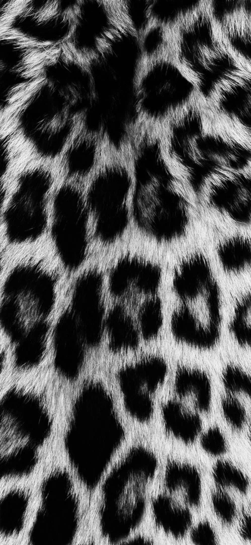 J profile banner