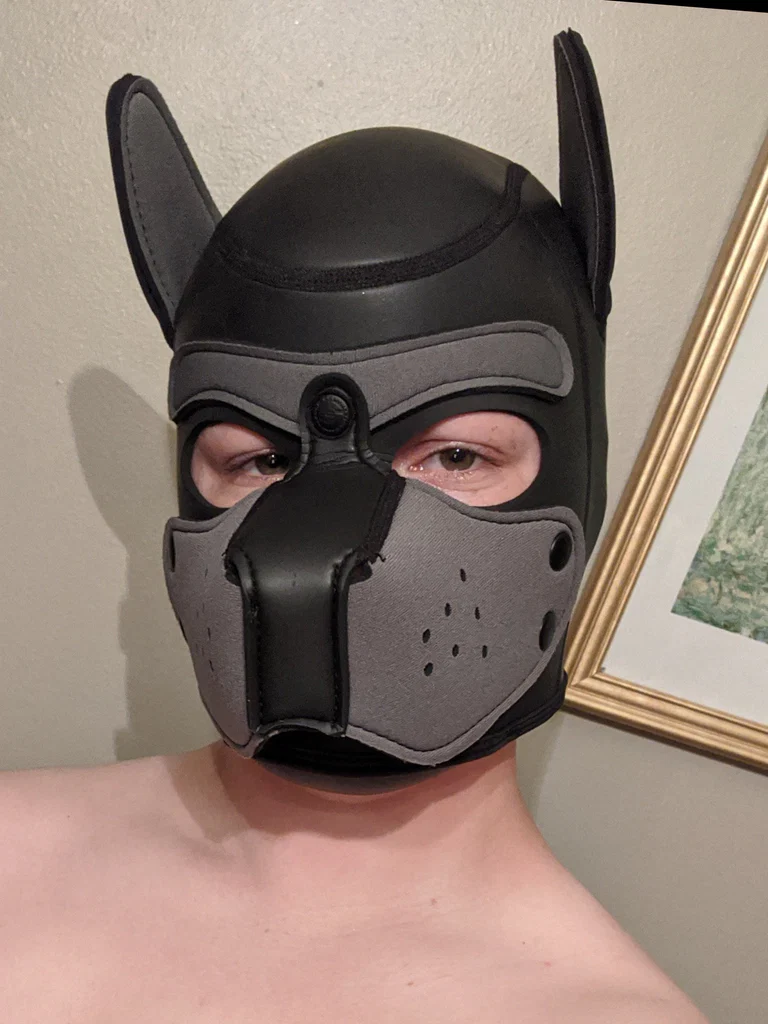 Pup Jackal