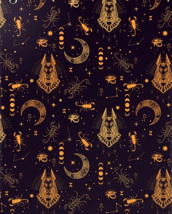 Pup Jackal profile banner