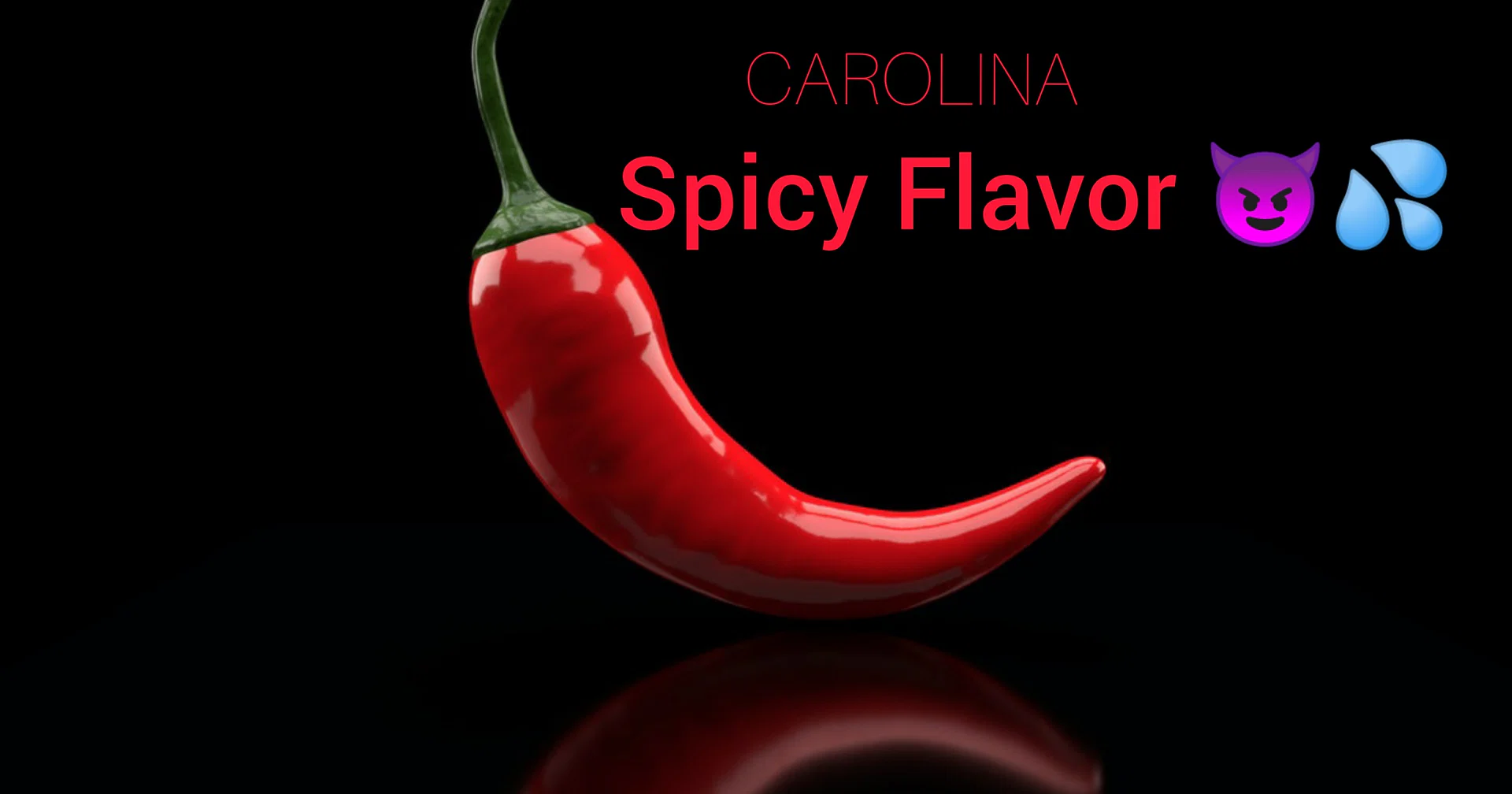 Oceancarolina profile banner