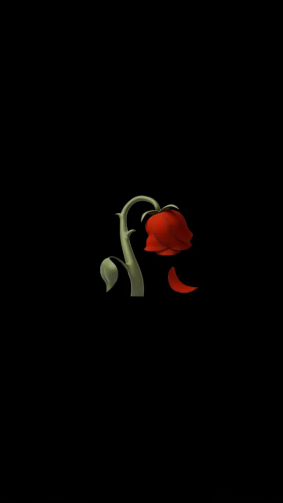 Lullaby 🥀's avatar