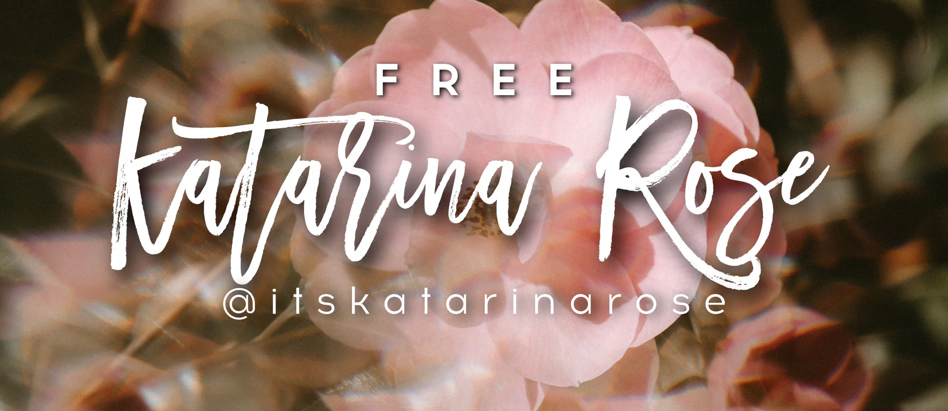 🌹Katarina Rose (FREE) profile banner