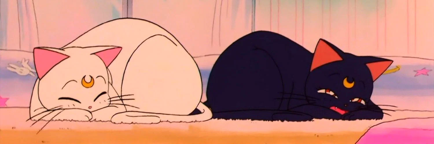 ๐ญ๐๐๐๐๐ profile banner