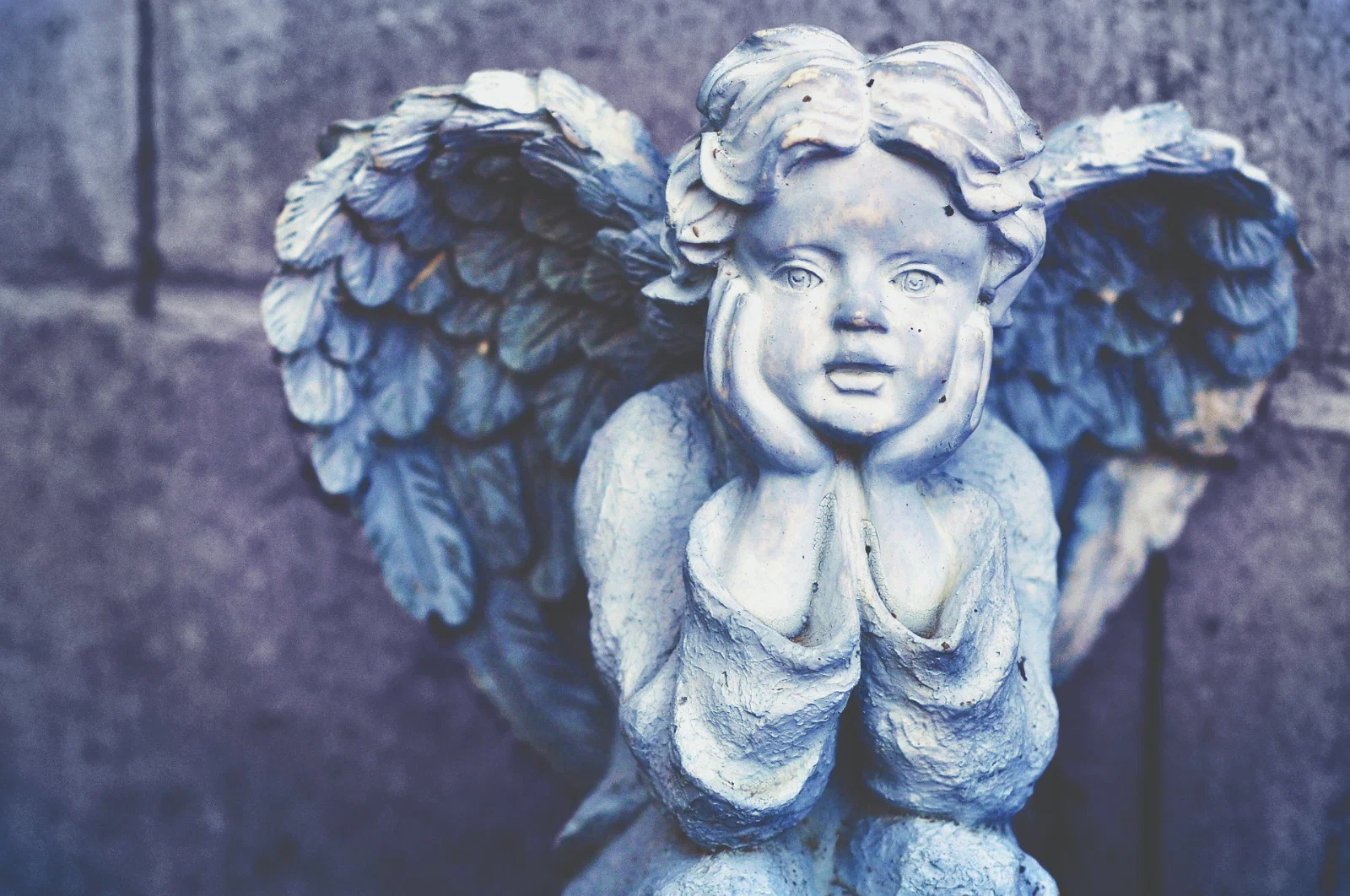 Zaddy Angels profile banner