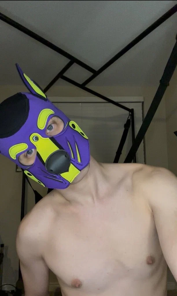Pup Miles Locked