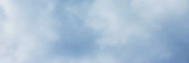 Tommy Wolfe profile banner