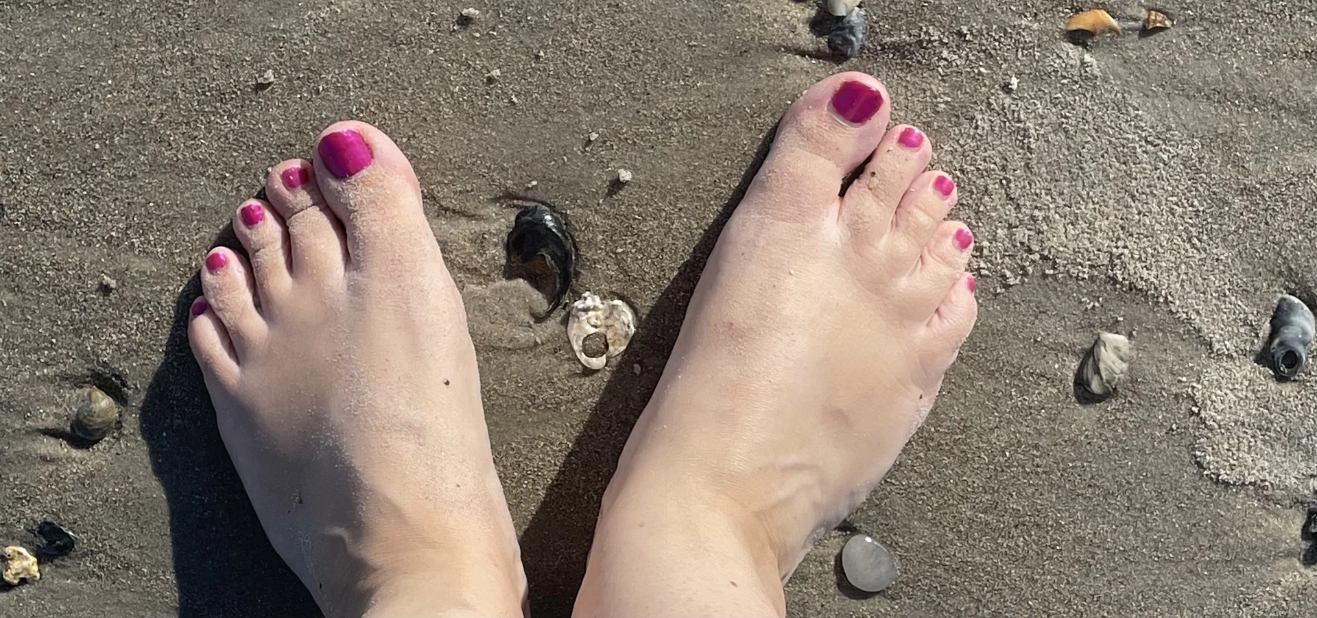Beach Feet profile banner