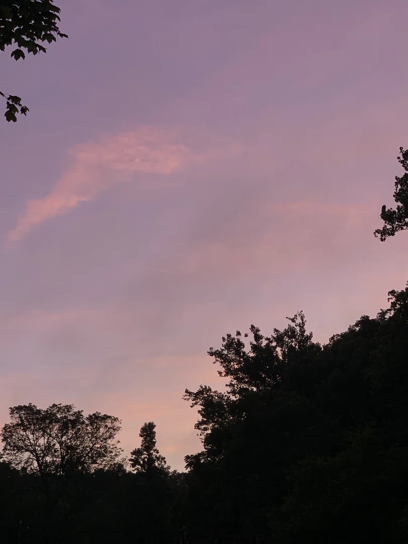 C.S. profile banner