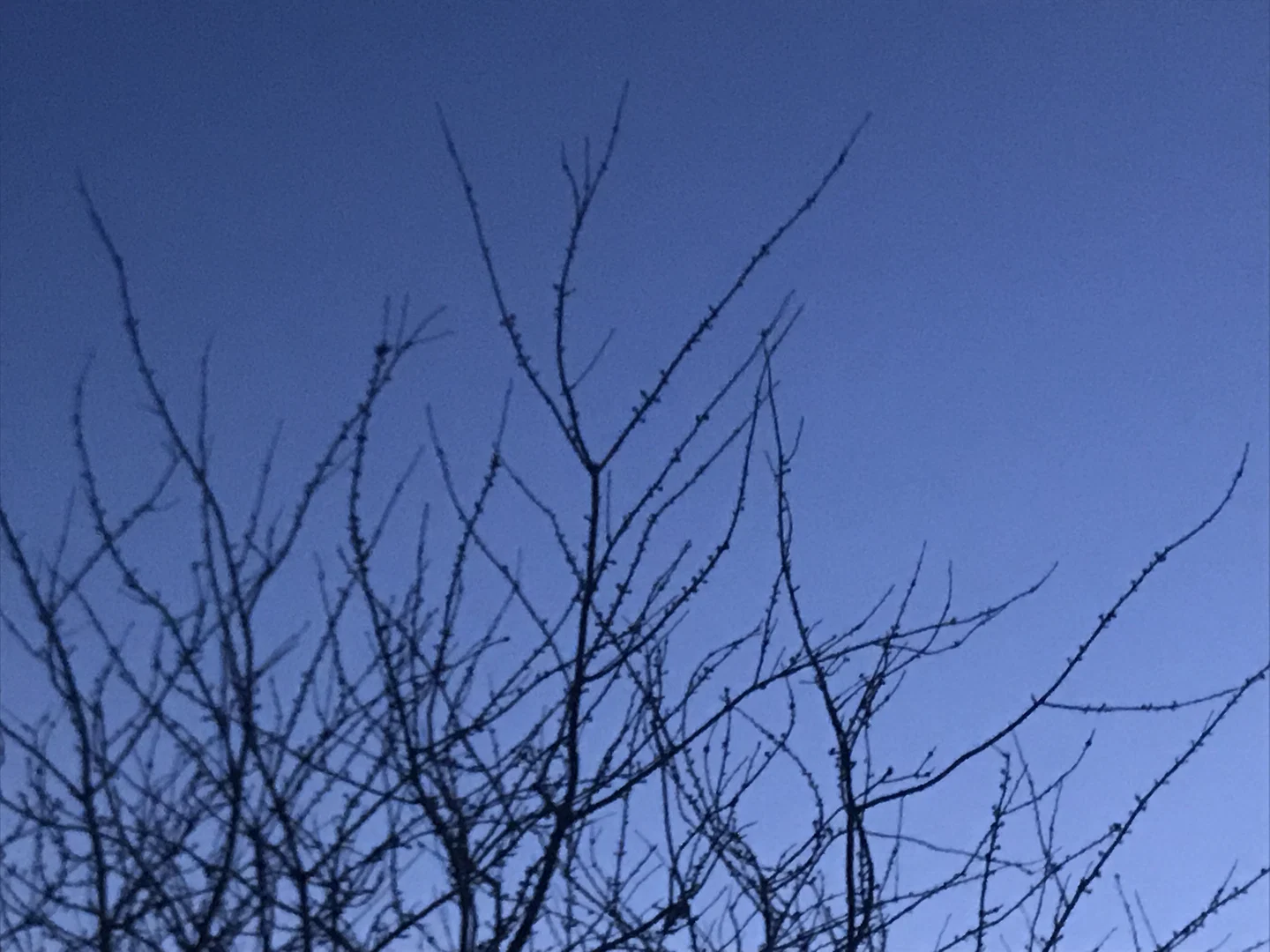 jam profile banner