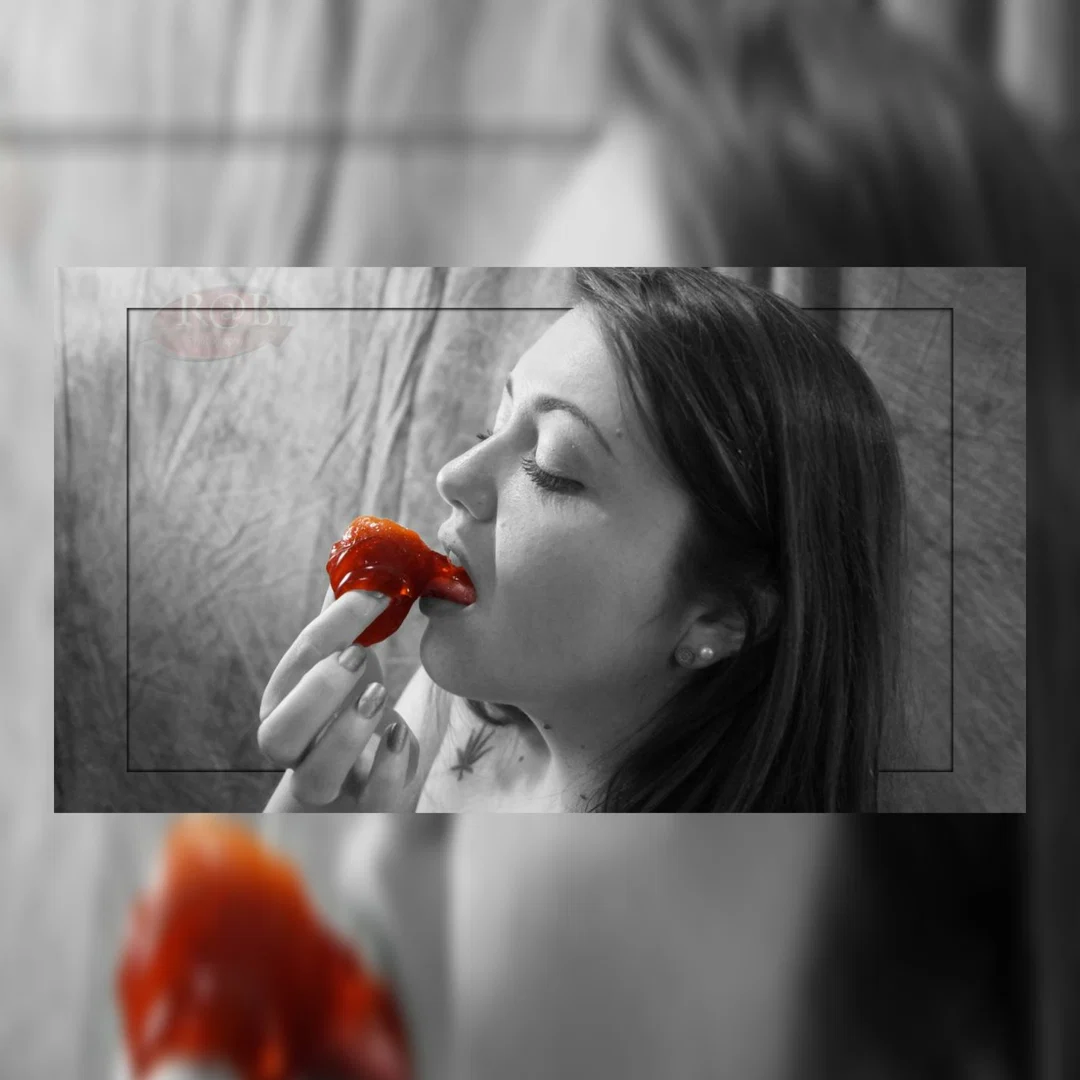 Alexandria profile banner