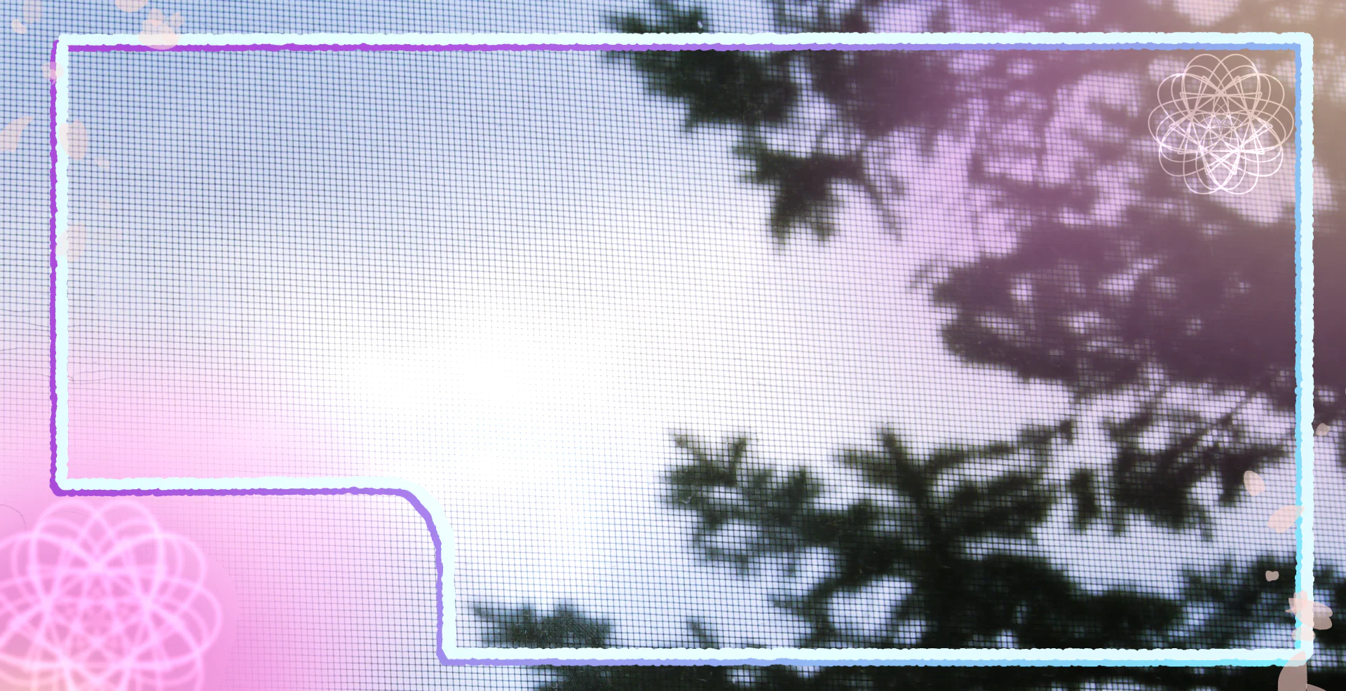 Ava Lee Amor profile banner