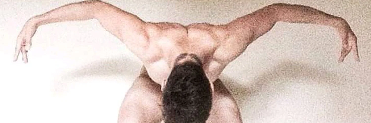 Tardivo profile banner