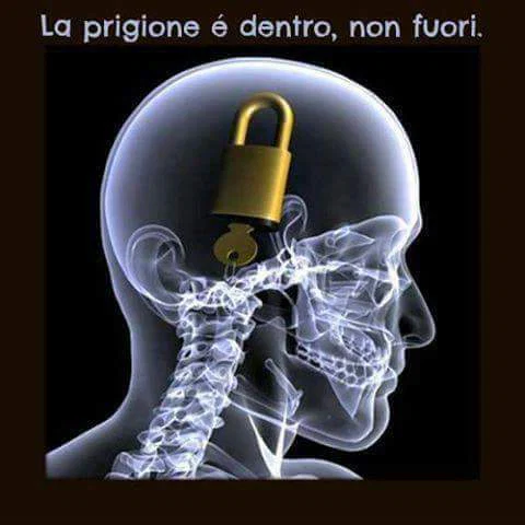 Doc. Brain