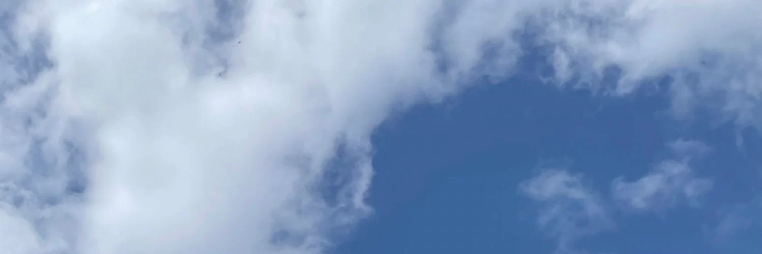 Pup Rawuu profile banner