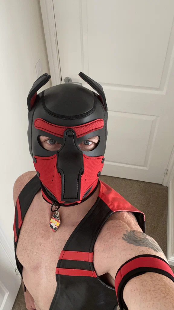 Pup Aries's avatar