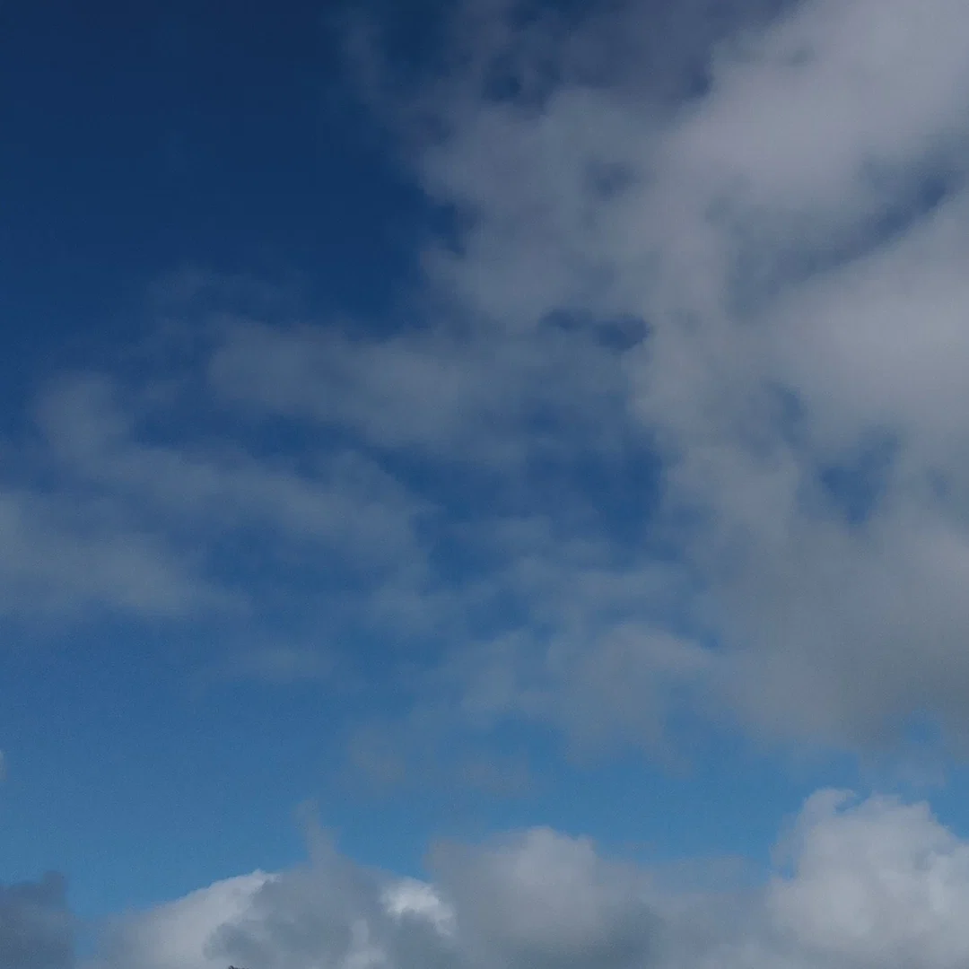 Choco profile banner