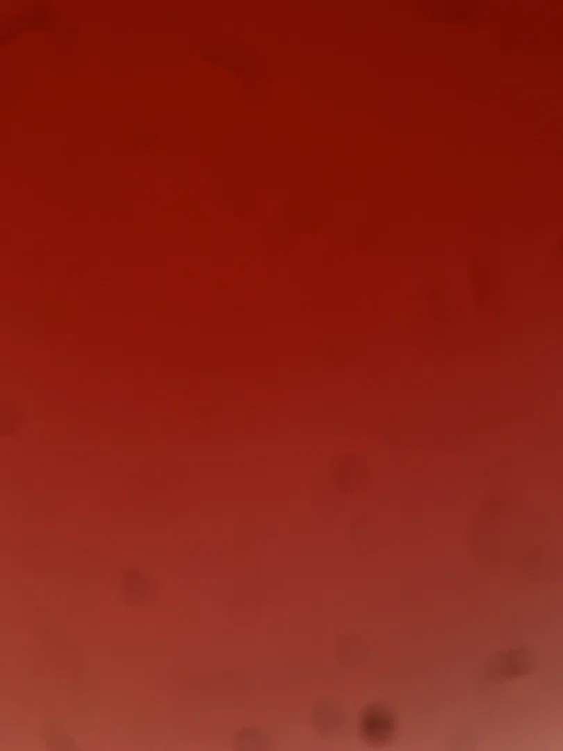 LaunaJay profile banner