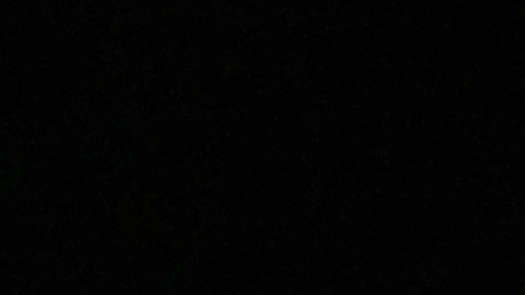 zzz's avatar