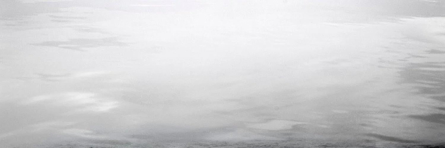 darui profile banner