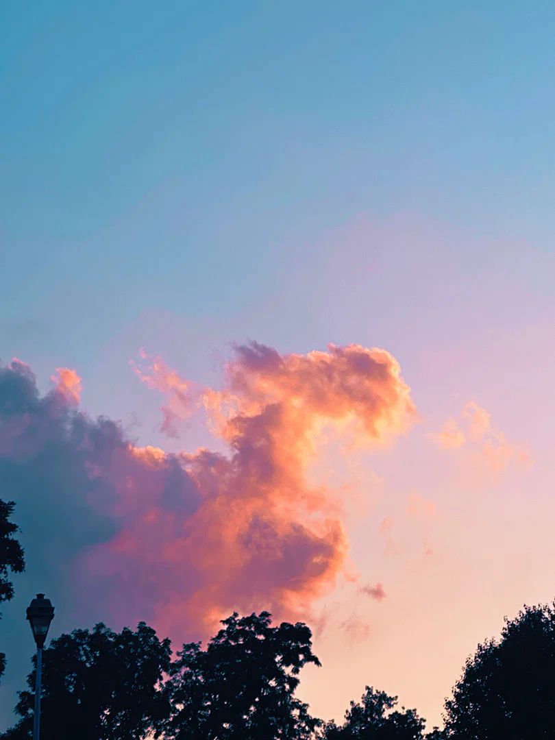 wesley connors profile banner