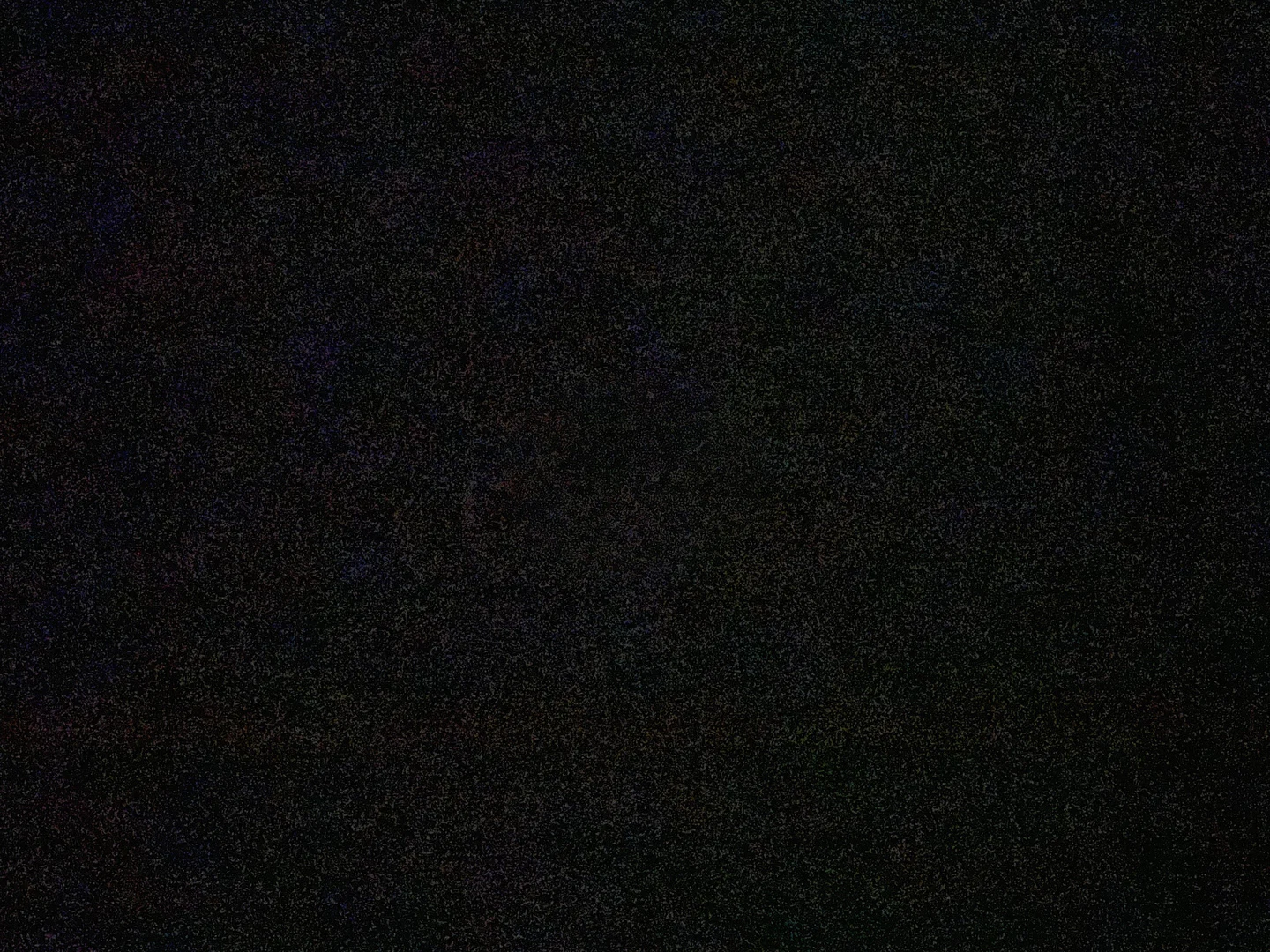The Frenchie One profile banner