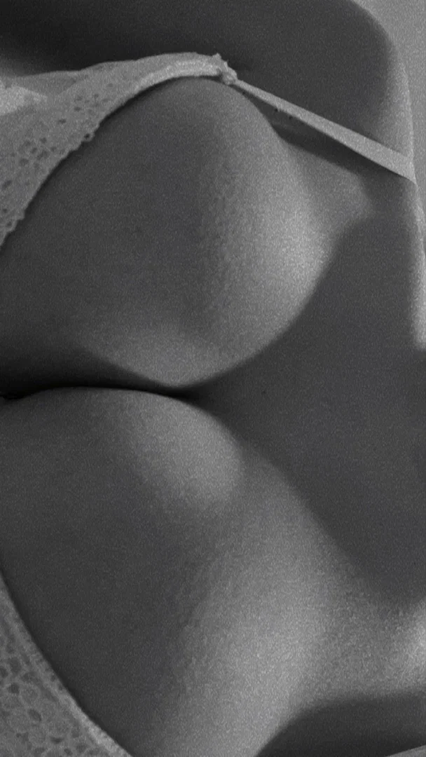 errecede profile banner