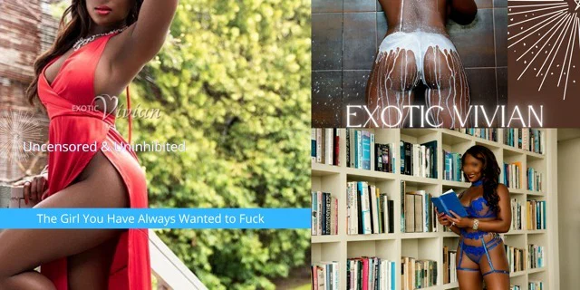 Your Miami Private Dancer profile banner