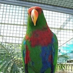 Bryce Berlin's avatar
