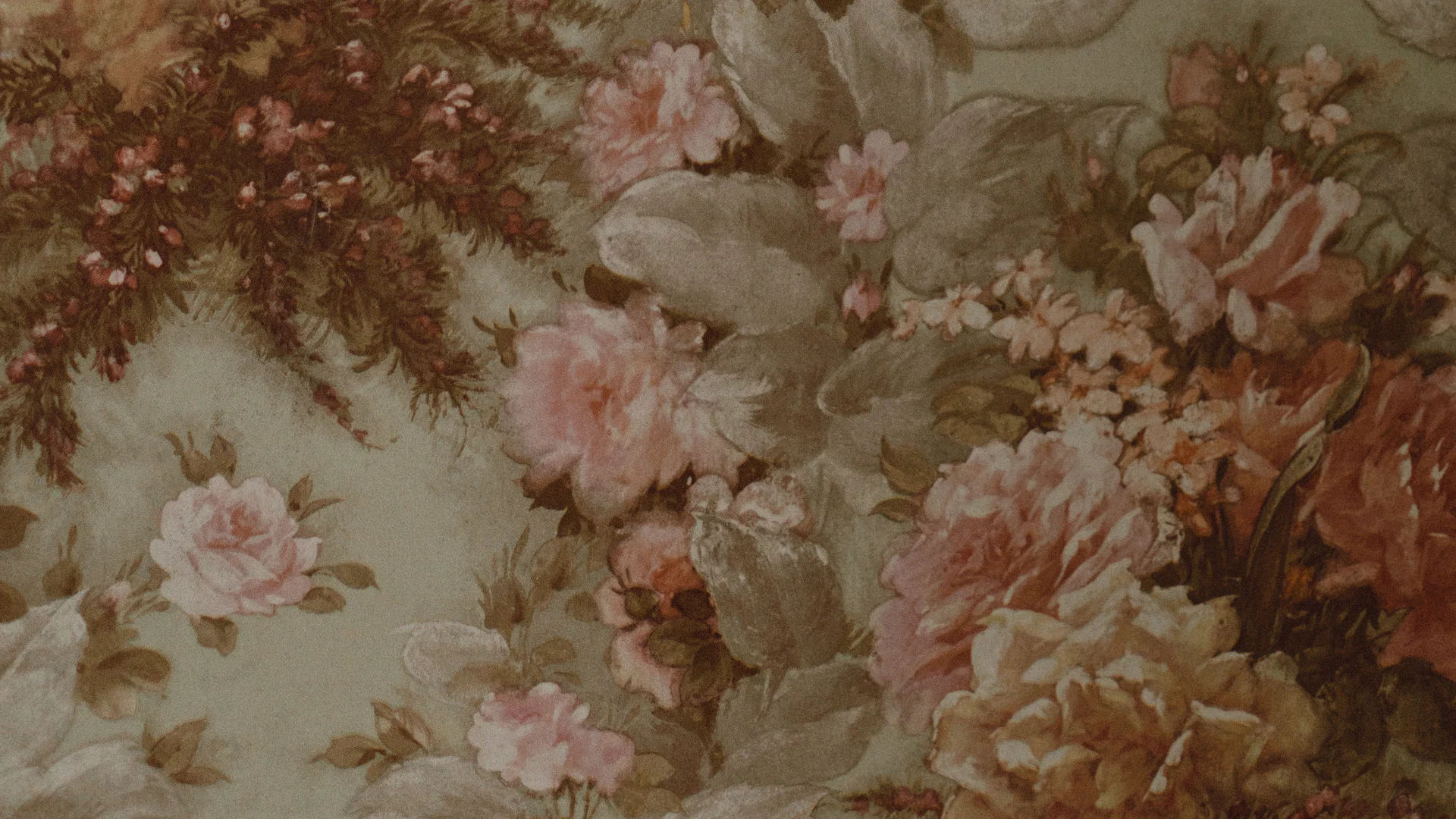 sydney shea profile banner