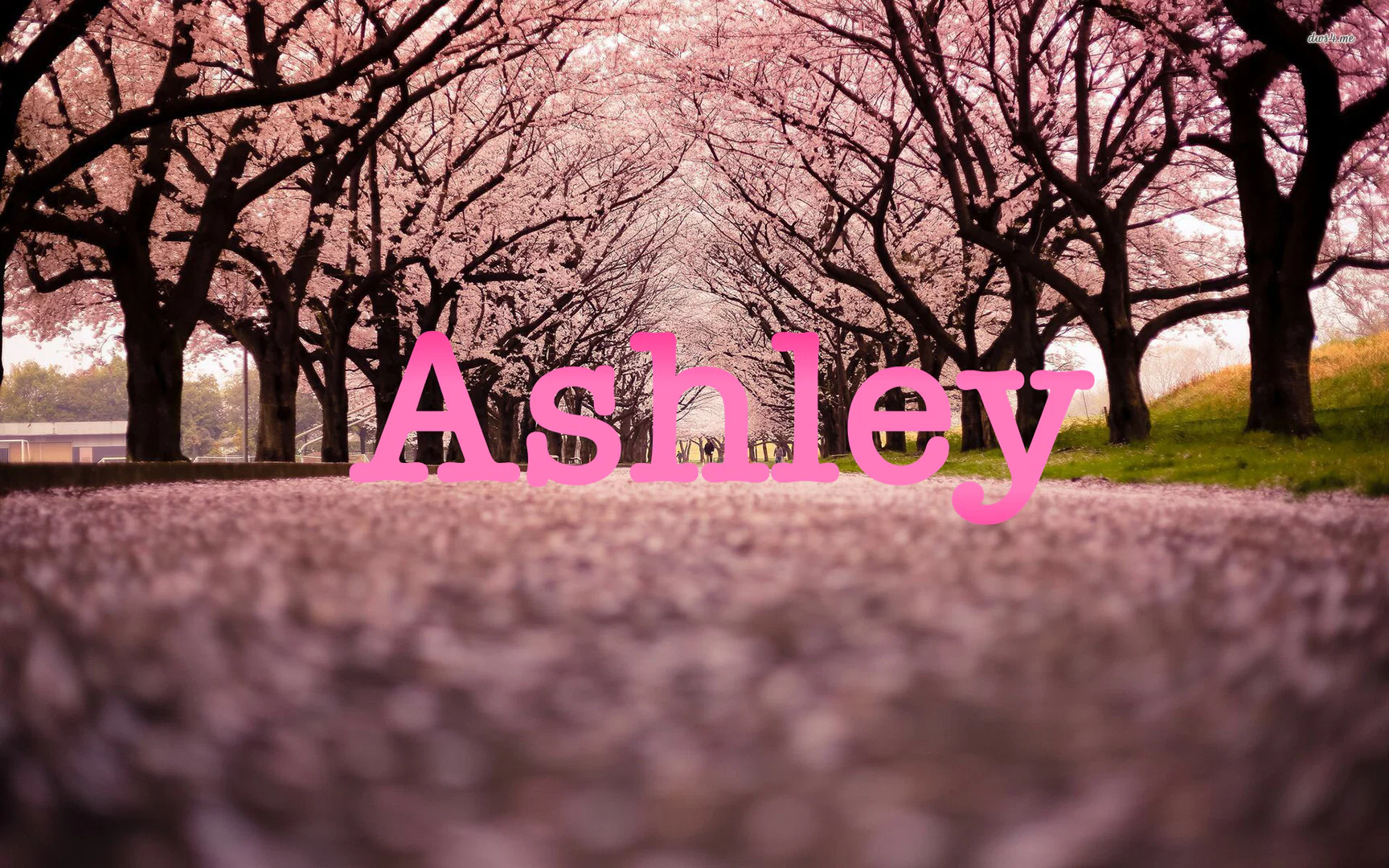Ashley1x profile banner