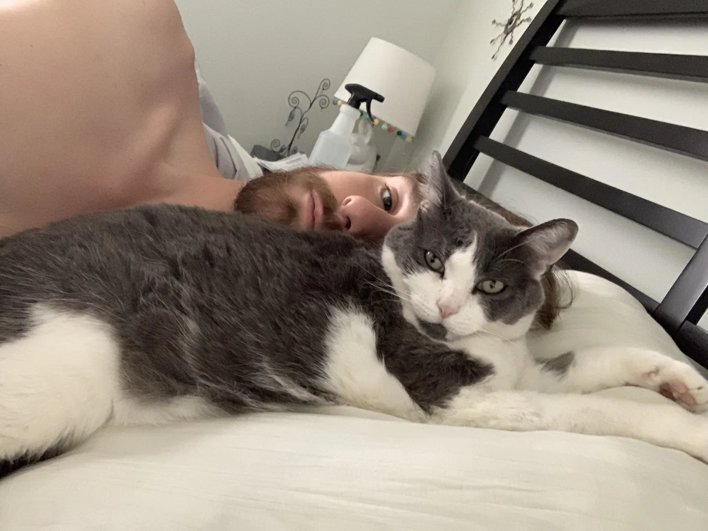 Cat Daddy profile banner
