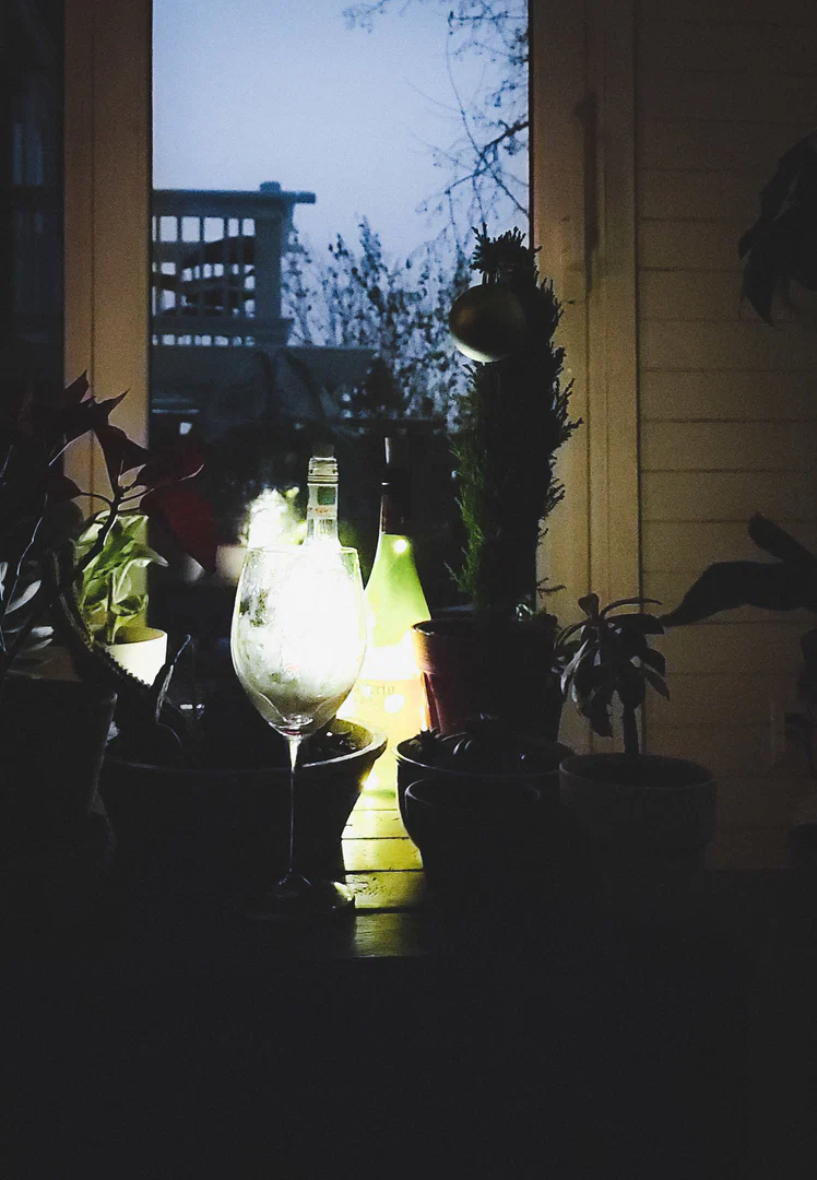 Astrid Rose profile banner