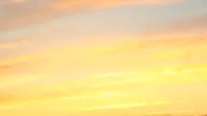 Ya gorl profile banner