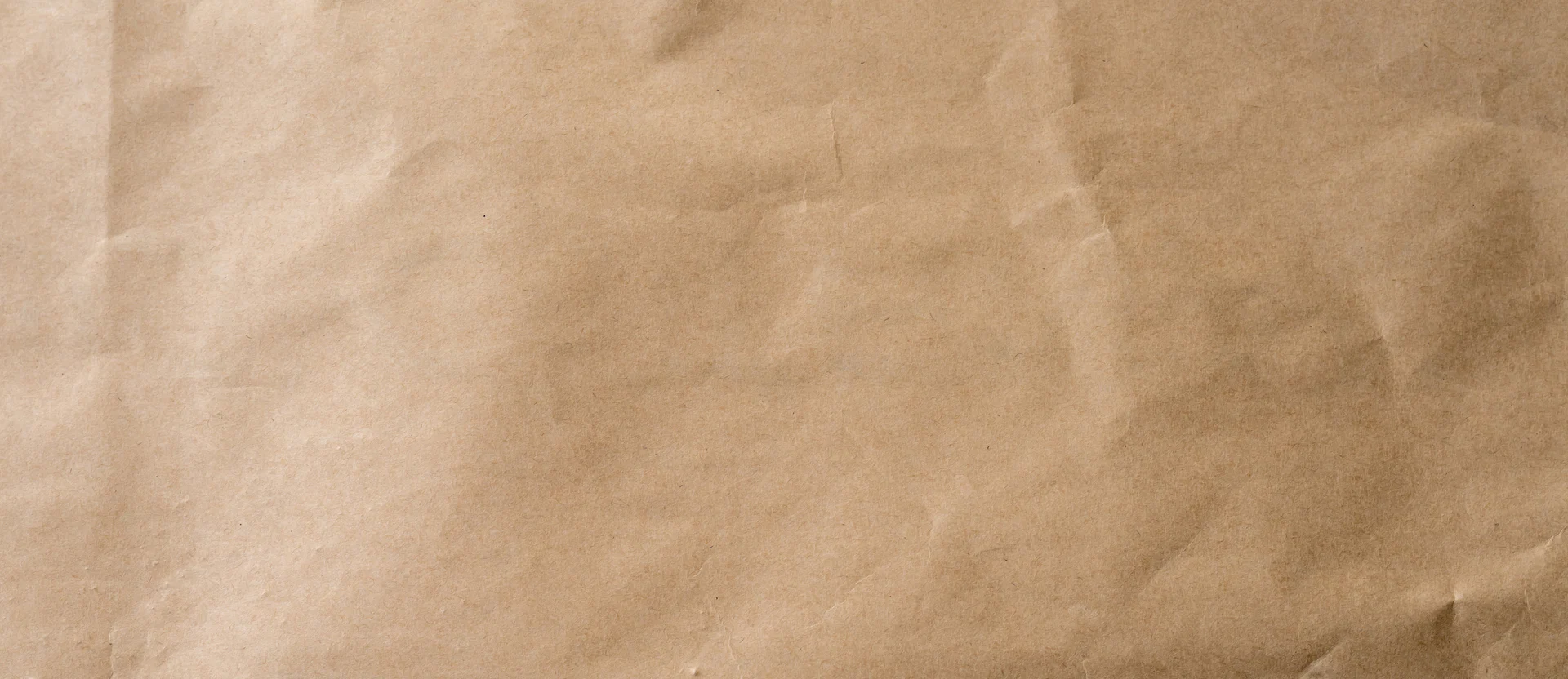 Paper Bag Woman profile banner