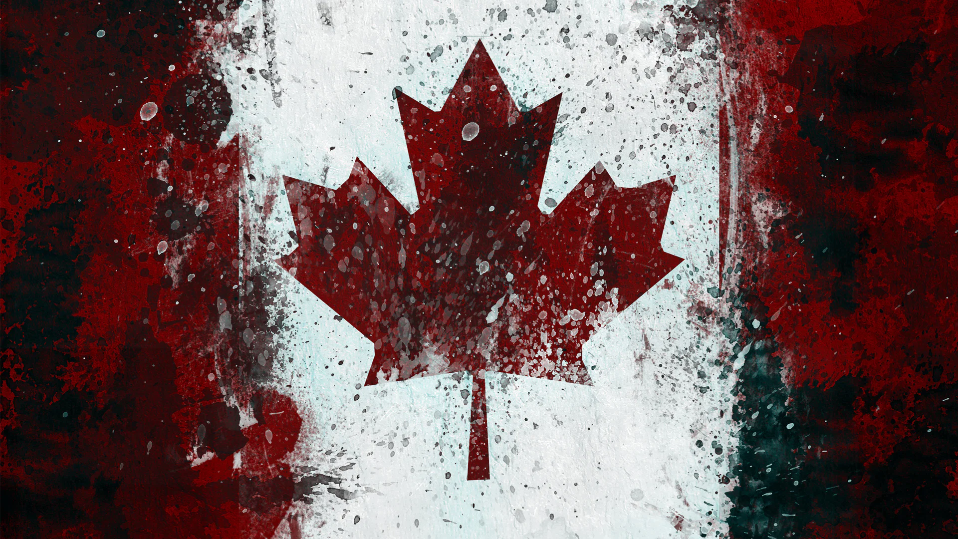 RaphBear profile banner