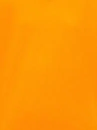 L profile banner