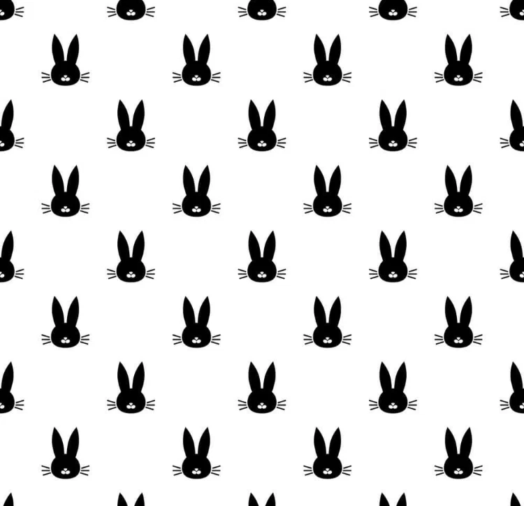 ChubbiiBunniiXx profile banner
