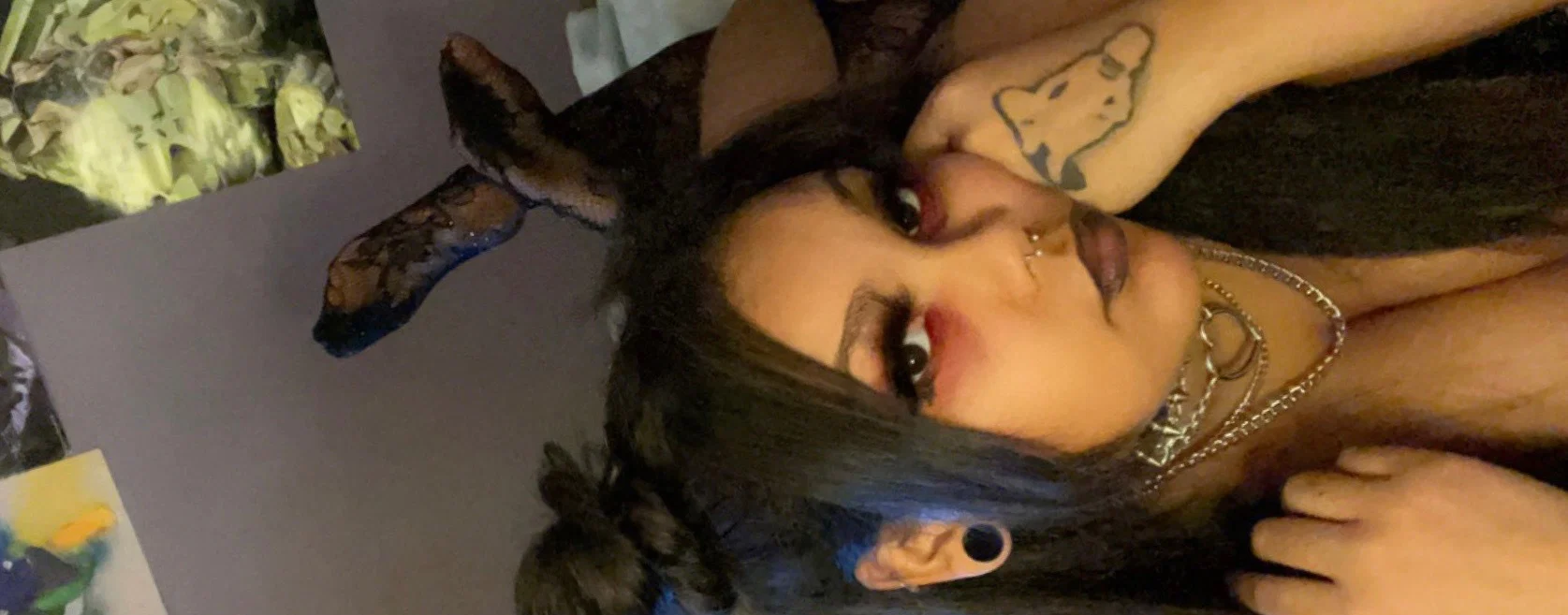 Selena Santana profile banner