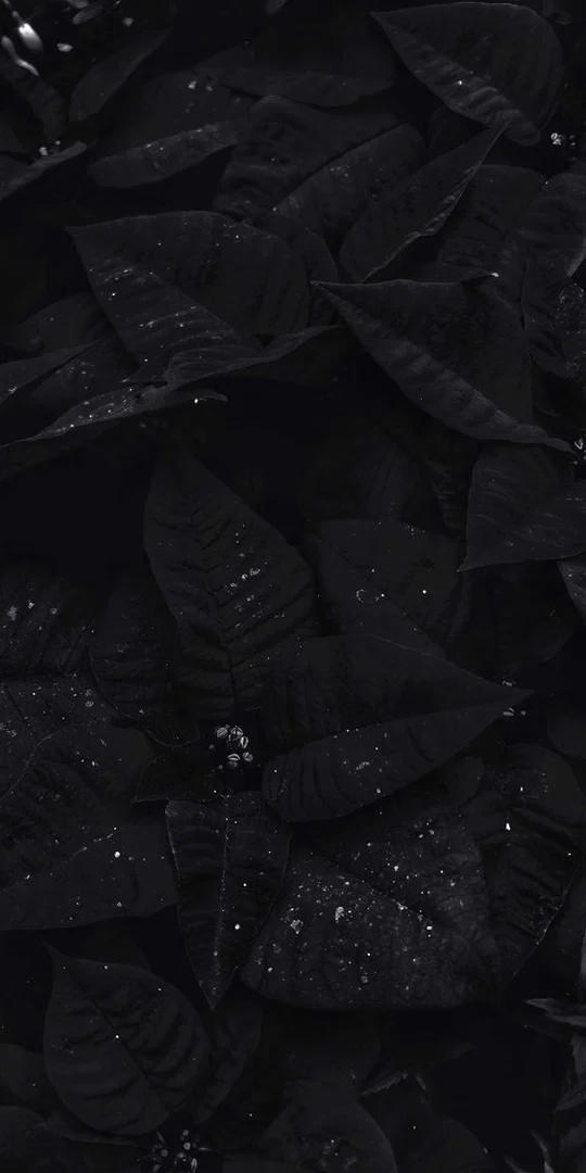 Ralesha profile banner