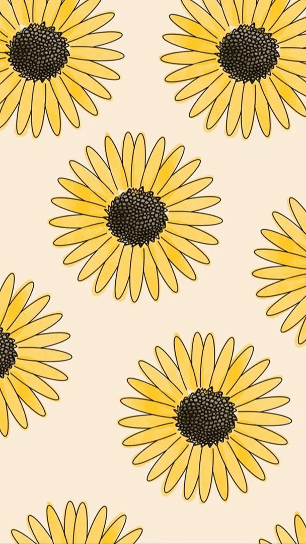 Melody Grace ✨ profile banner