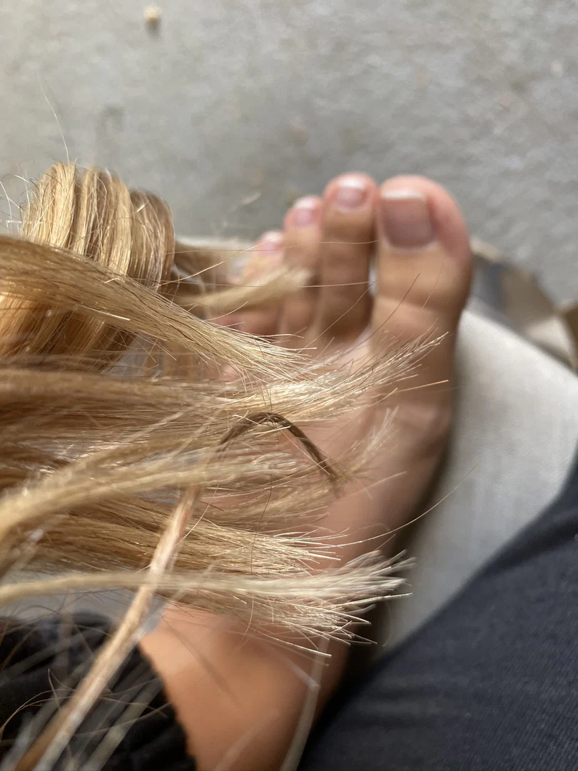 Honey Swallows profile banner
