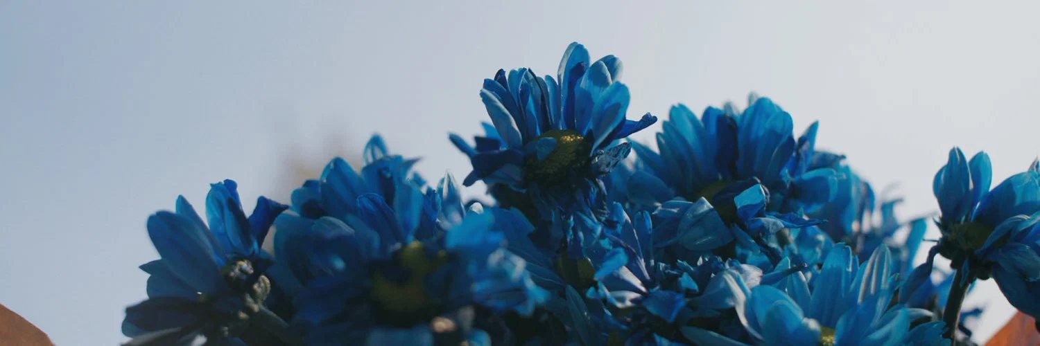 子子 profile banner