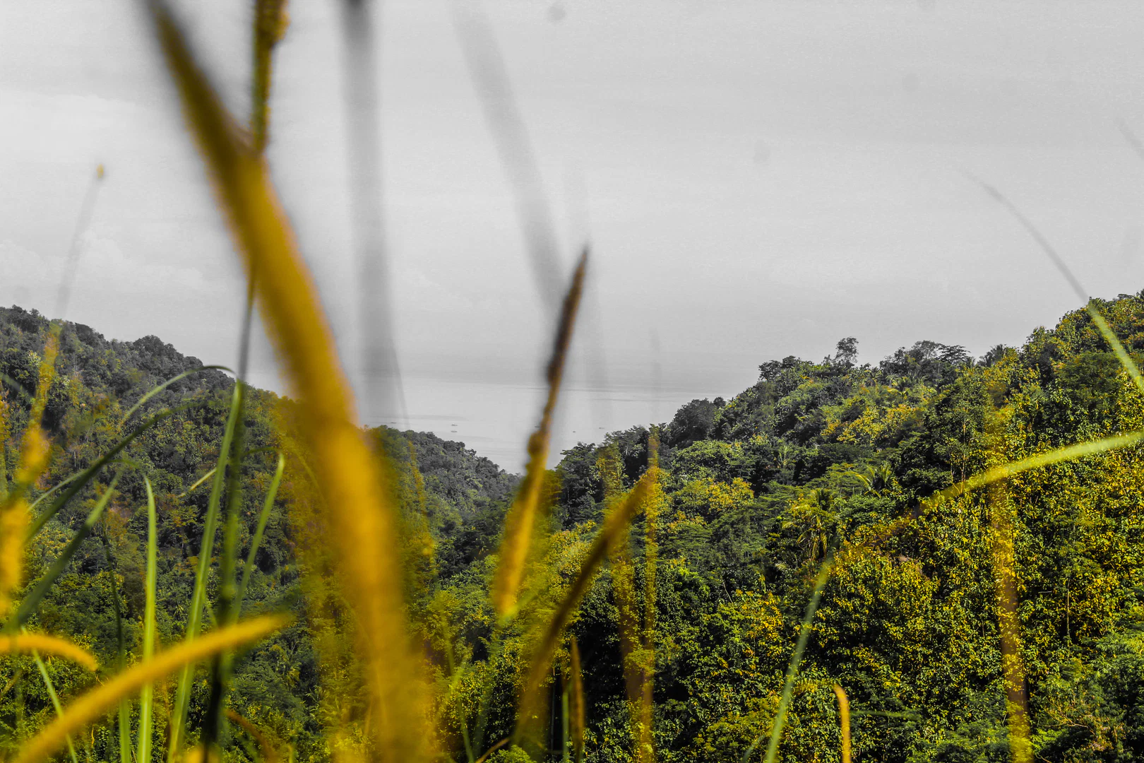 Soheb Wae profile banner