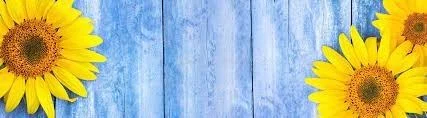 SunflowerSweetFeet profile banner