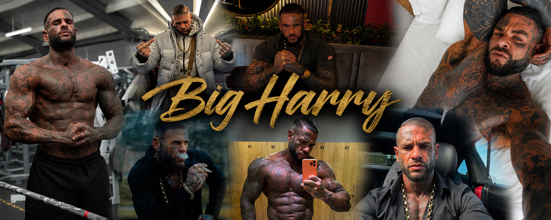 🇬🇧BIG HARRY🤪 (6FT3 100kg) profile banner